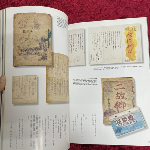 寺山修司 : 天才か怪物か ＜別冊太陽＞