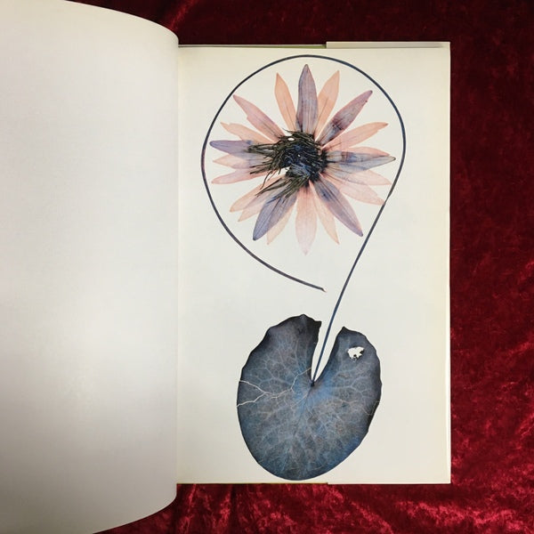 Flora ソフトカバー