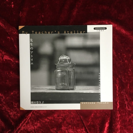 先生のアトリエ ＜ SERIE BIBLIOTHECA 2/3＞