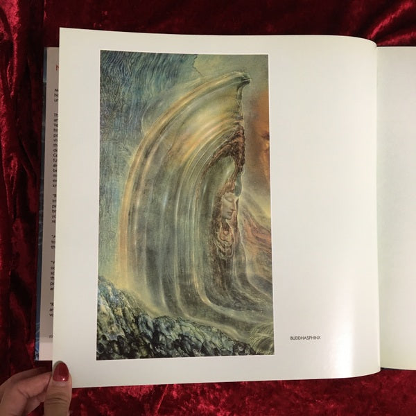 Noospheres　Robert Venosa　画集 　洋書