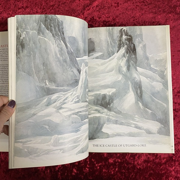Castles 洋書
