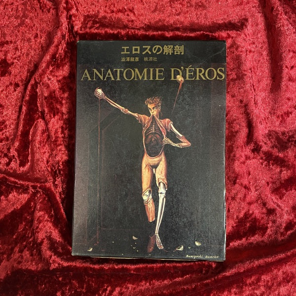 エロスの解剖