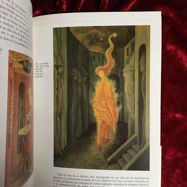 Viajes inesperados　El arte y la vida de Remedios Varo 洋書