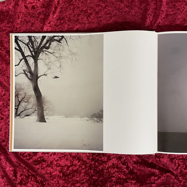 Excerpts from Silver Meadows　Todd Hido　トッド・ハイド　洋書　