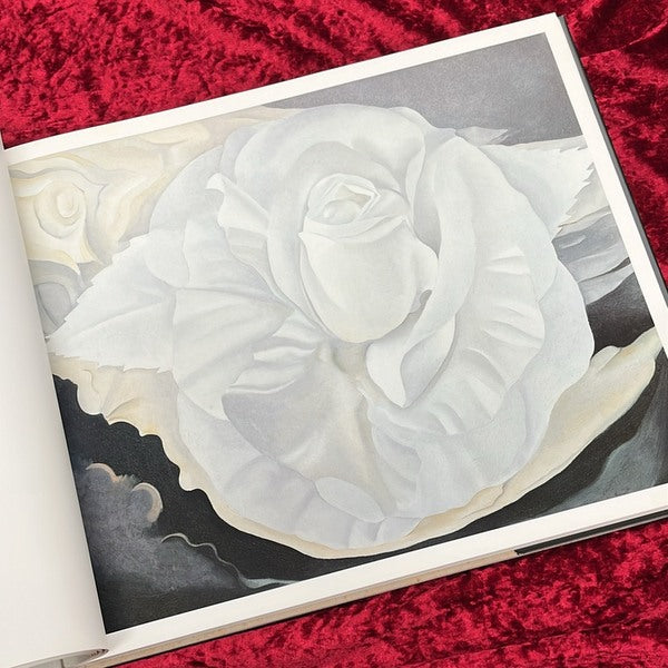 イン・ザ・ウェスト　オキーフ画集