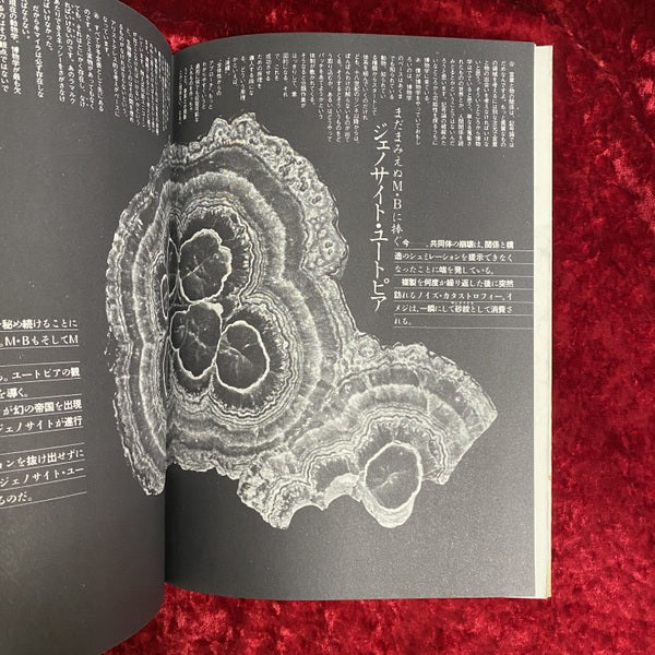 夜想＋銀星倶楽部　2と1/2　NEO・FIN・DE・SIECLE　昭和60年2月号