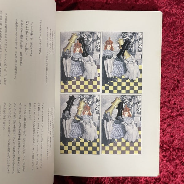 不思議の国のアリス・鏡の国のアリス　ヤン・シュヴァンクマイエル 挿画 2冊セット