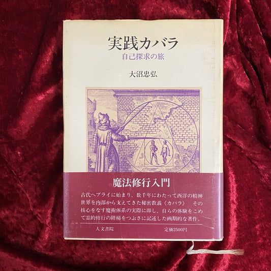 実践カバラ : 自己探求の旅