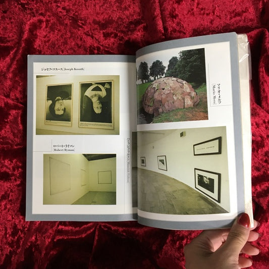 少年アート : ぼくの体当り現代美術