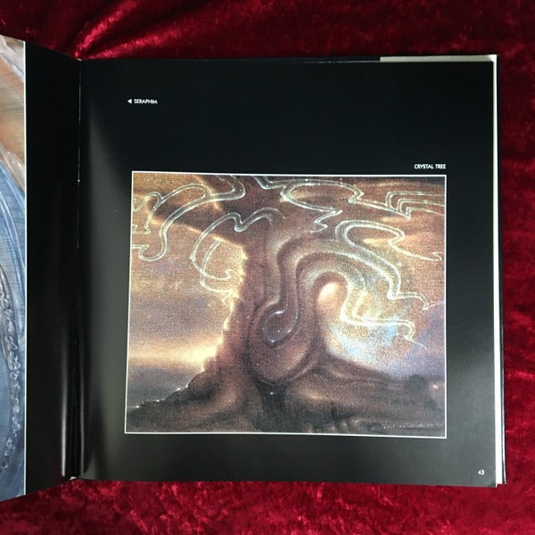 Noospheres　Robert Venosa　画集 　洋書