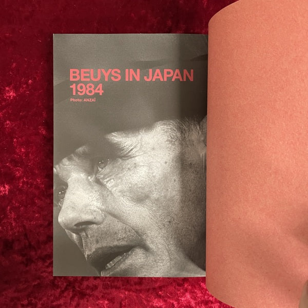 ヨーゼフ・ボイスよみがえる革命 : Beuys in Japan
