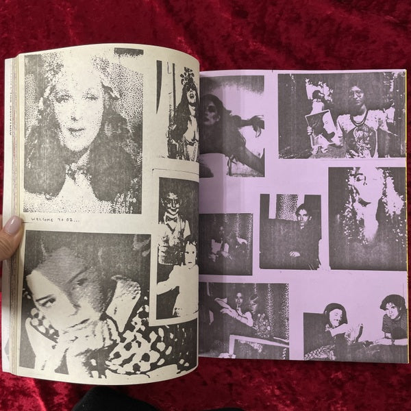 Destroy All Monsters Magazine　洋書