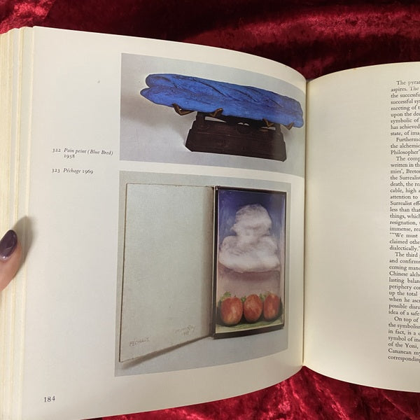 Man Ray: The Rigour of Imagination　マン・レイ　洋書 　