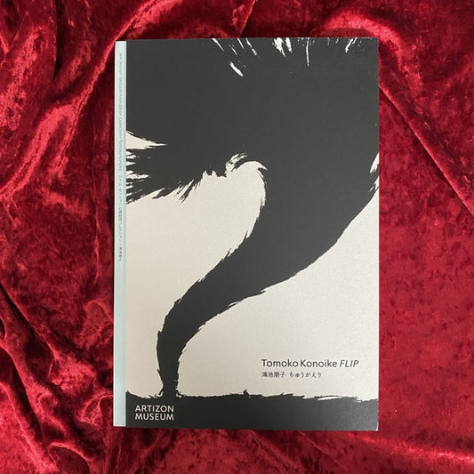 Tomoko Konoike FLIP : 鴻池朋子 : ちゅうがえり