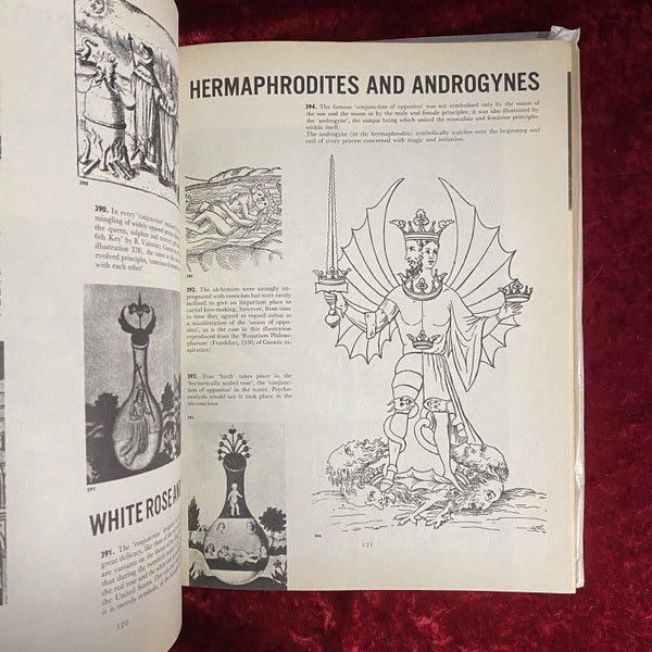 A pictorial history of magic and the supernatural　洋書