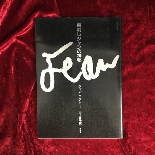 鳥刺しジャンの神秘