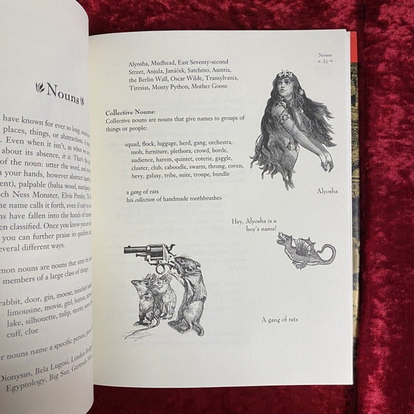 The Deluxe Transitive Vampire: A Handbook of Grammar for the Innocent, the Eager, and the Doomed 洋書