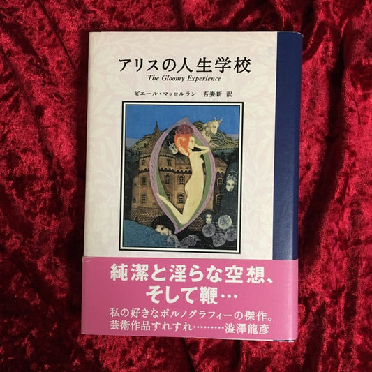 アリスの人生学校