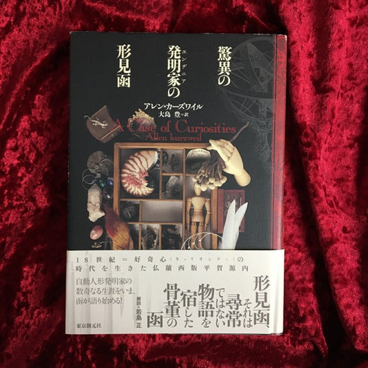 驚異の発明家の形見函 ＜海外文学セレクション＞