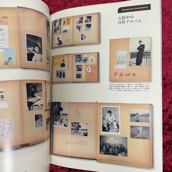 寺山修司 : 天才か怪物か ＜別冊太陽＞