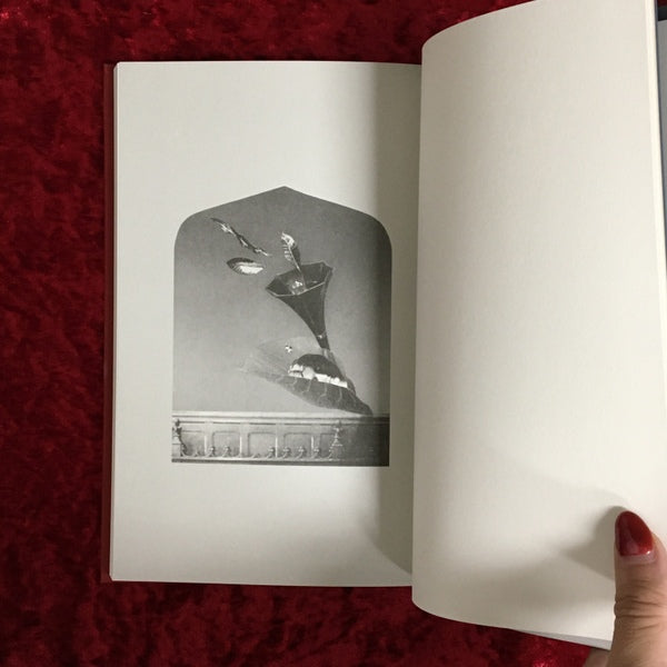 角砂糖の日　新装版