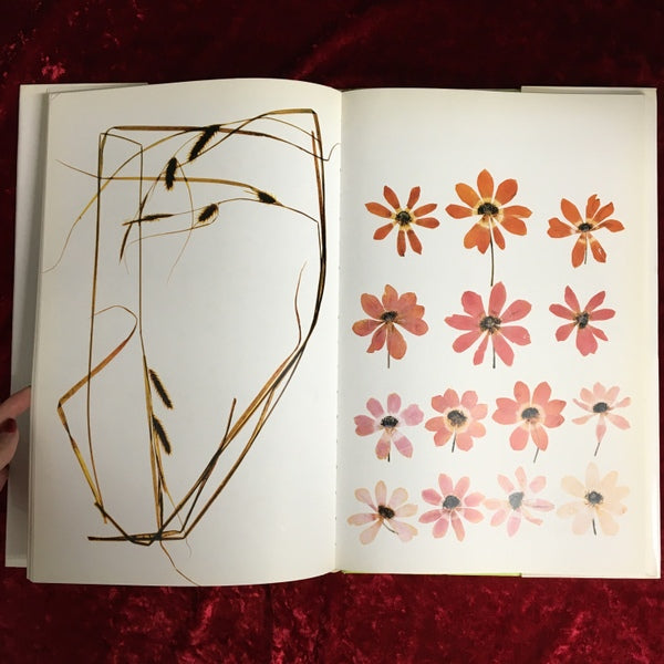 Flora ソフトカバー