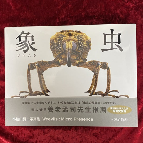 象虫 : マイクロプレゼンス : 小檜山賢二写真集