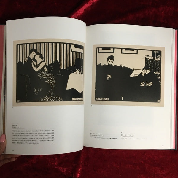 【匿名配送】図録『ヴァロットン展　冷たい炎の画家』三菱一号館美術館 三菱一号館美術館で「ヴァロットン \u2015冷たい炎の画家」を見る: Untitled