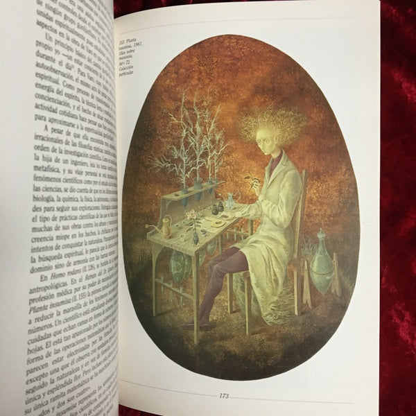 Viajes inesperados　El arte y la vida de Remedios Varo 洋書