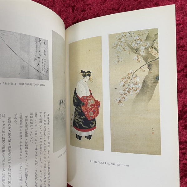 江戸の世に遊ぶ : 生田耕作所蔵書画展 : 一周忌記念