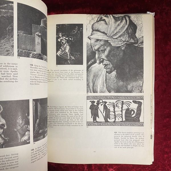 A pictorial history of magic and the supernatural　洋書
