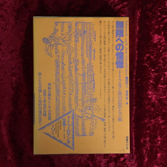 ドイツ・ロマン派全集 第9巻 無限への憧憬 : ドイツ・ロマン派の思想と芸術