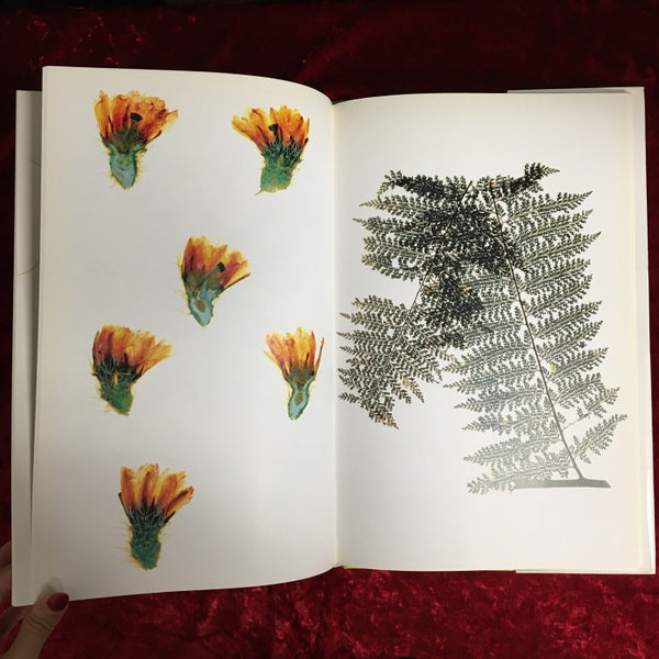 Flora ソフトカバー