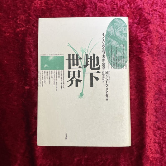地下世界 : イメージの変容・表象・寓意 ＜テオリア叢書＞