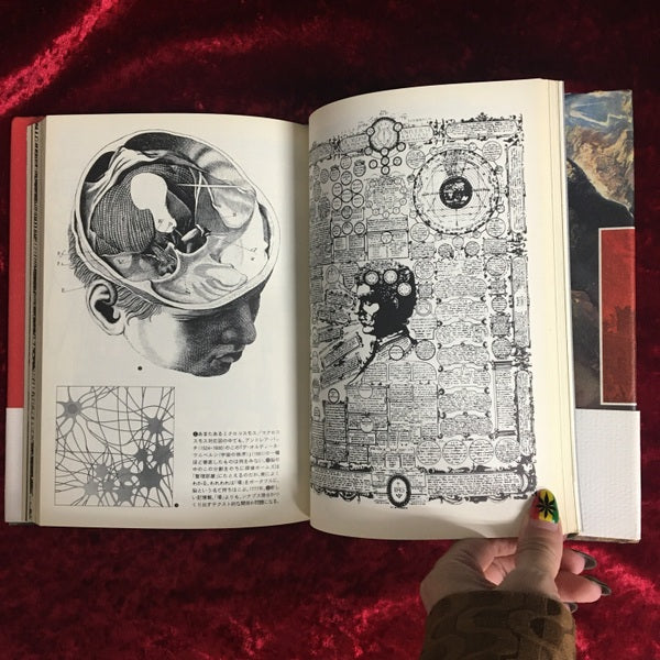 カステロフィリア : 記憶・建築・ピラネージ ＜叢書メラヴィリア 1＞