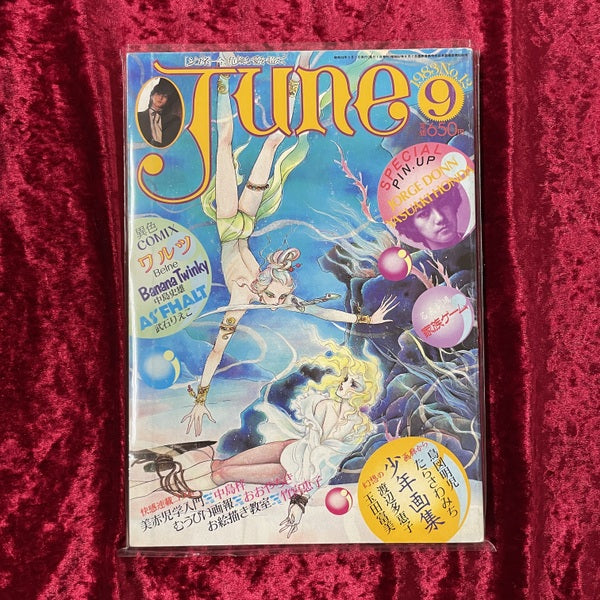 JUNE (1983年9月号 No.12)