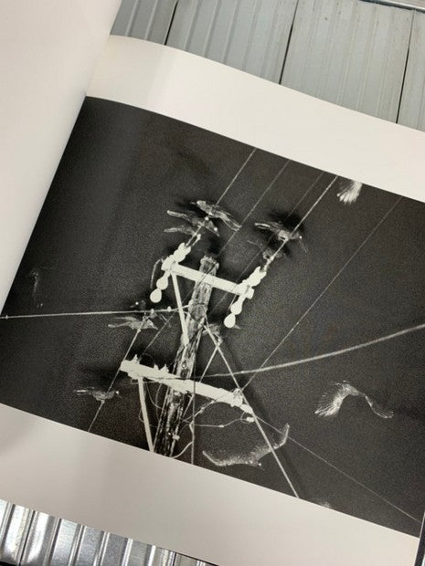 鴉 Solitude of Ravens Masahisa Fukase　著：深瀬昌久