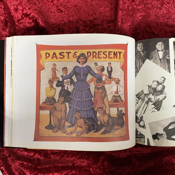 Freaks, Geeks and Strange Girls: Sideshow Banners of the Great American Midway　洋書