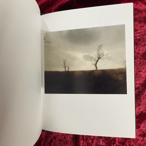 Cracked Trees :Todd Hido トッド・ハイド　洋書　オリジナルプリント付き