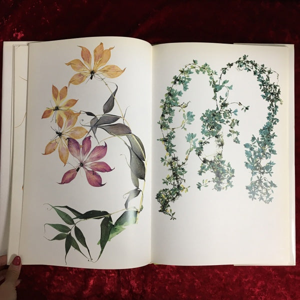 Flora ハードカバー