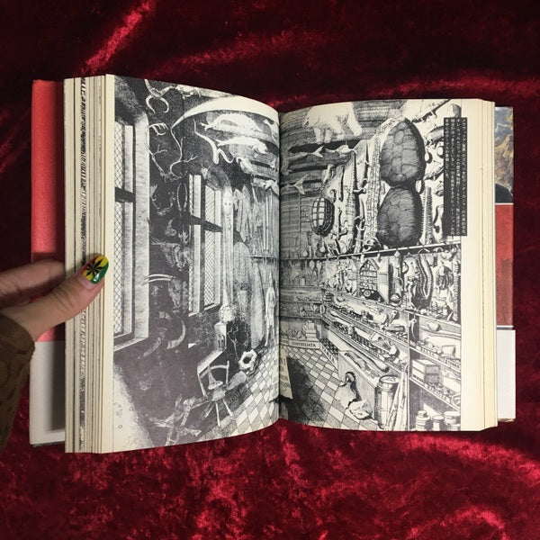 カステロフィリア : 記憶・建築・ピラネージ ＜叢書メラヴィリア 1＞