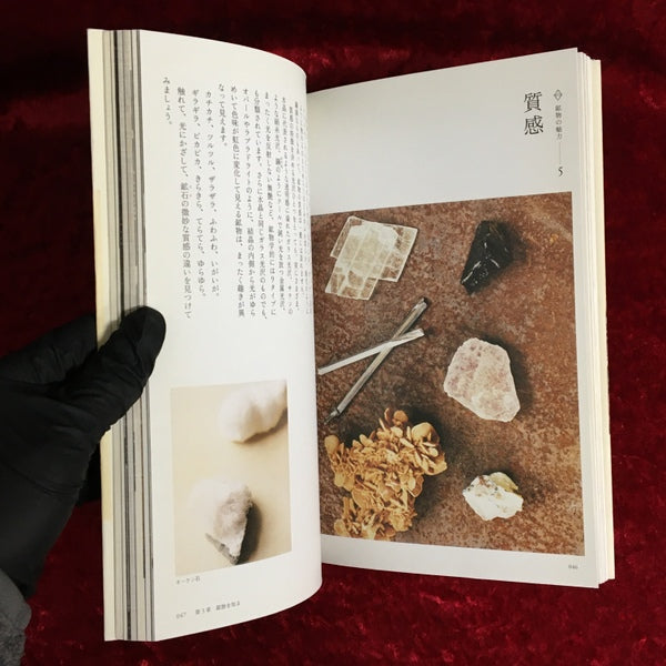 鉱物(ishi)アソビ : 暮らしのなかで愛でる鉱物の愉しみ方