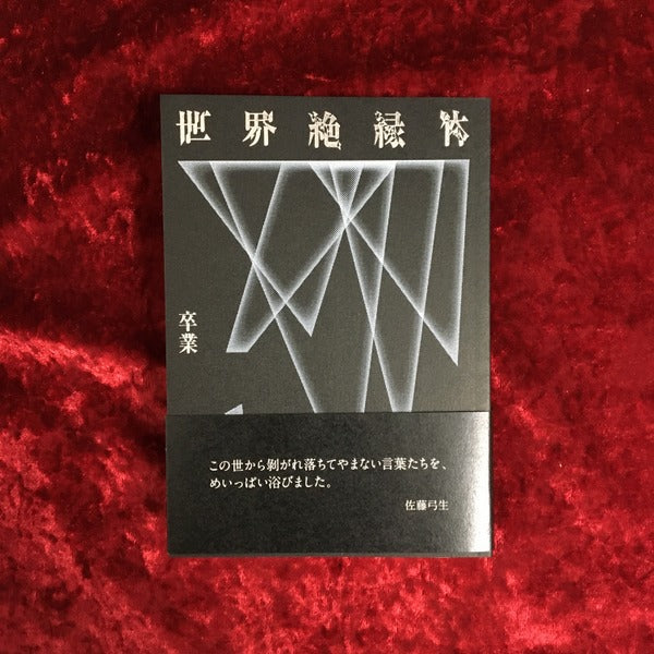 【新刊書籍】世界絶縁体　卒業
