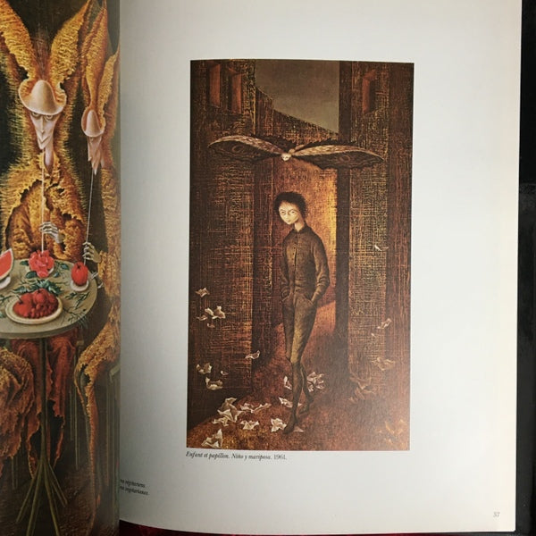 REMEDIOS VARO　レメディオス・ヴァロ　洋書