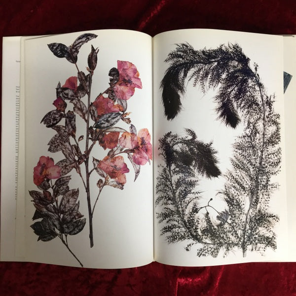 Flora ソフトカバー