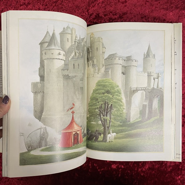 Castles 洋書