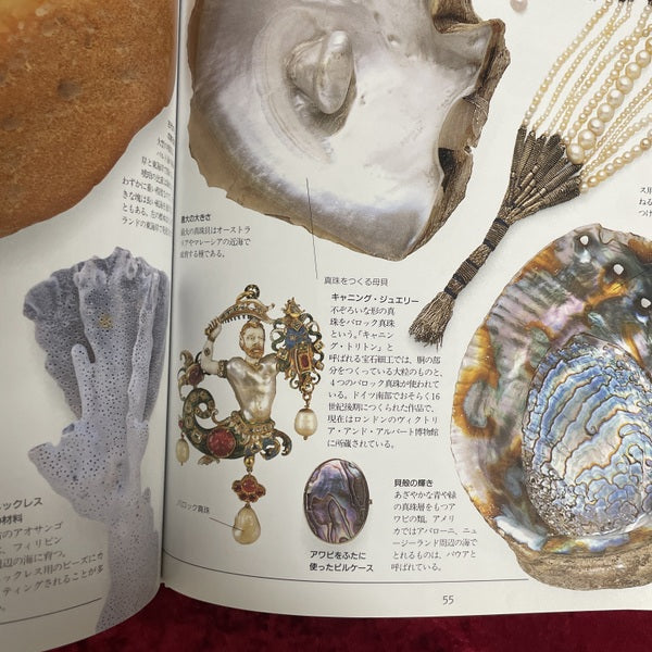 結晶・宝石図鑑 ＜「知」のビジュアル百科 2＞