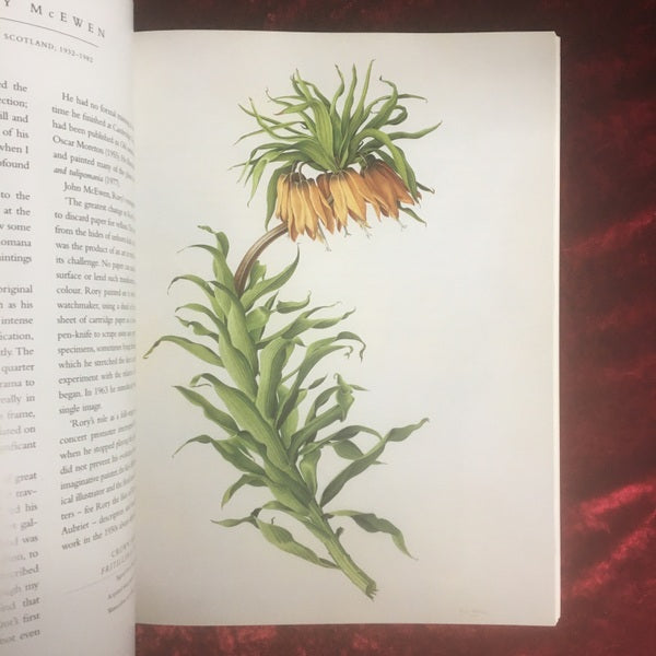 Contemporary Botanical Artists　The Shirley Sherwood Collection　洋書