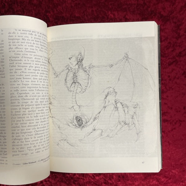 LE MUSEE DES VAMPIRES　洋書