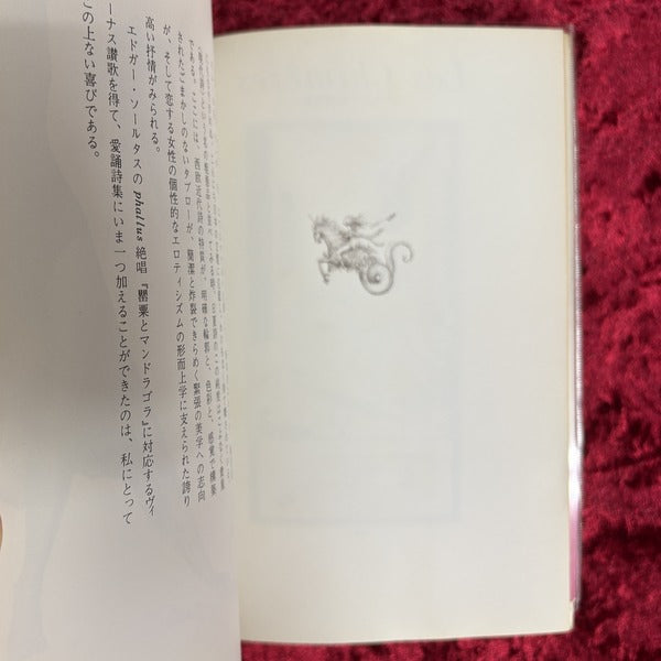 シメール　日夏レイ詩集